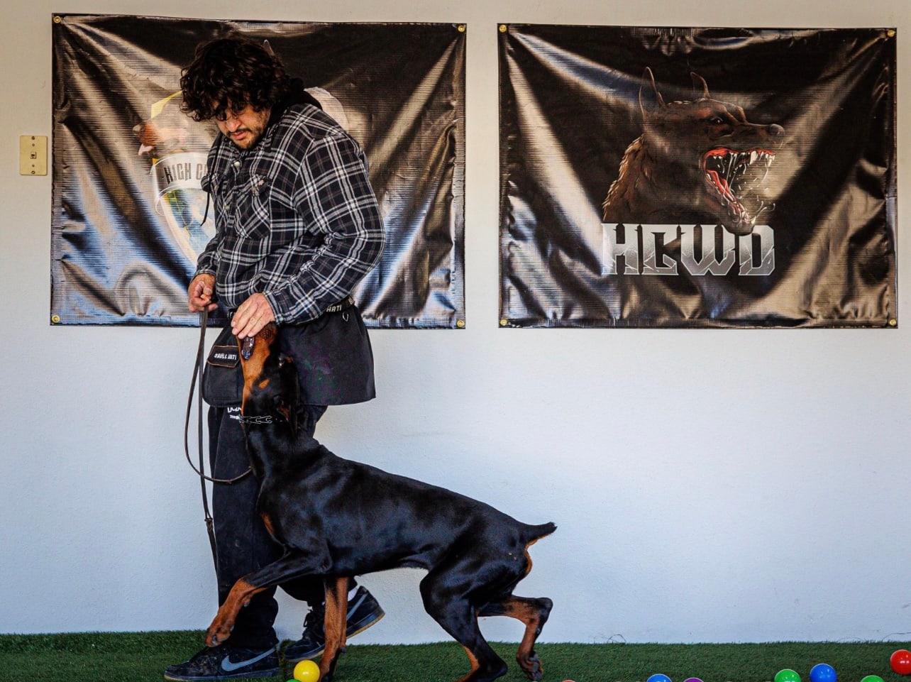 Andrew Pena working with a serious working dog during a controlled session