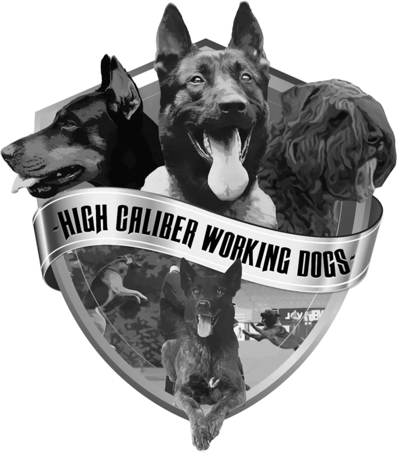 High Caliber Working Dogs logo