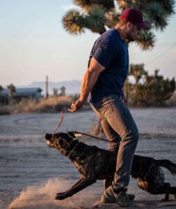 Dog Trainer in Upland, CA: How to Choose the Right One in 2026